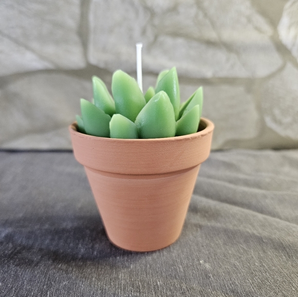 Homemade Beeswax Succulent/Cactus Pot Candles - Picture 6 of 8